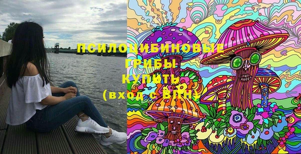 бошки Горно-Алтайск