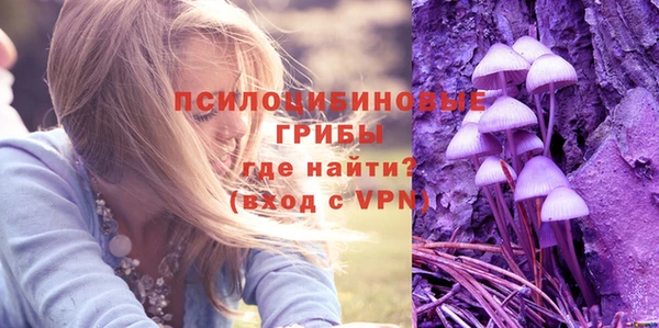 МДМА Горняк