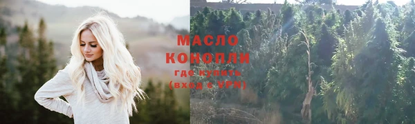 прущие грибы Гусев