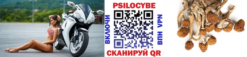 Купить закладки Боготол Псилоцибиновые грибы Cubensis