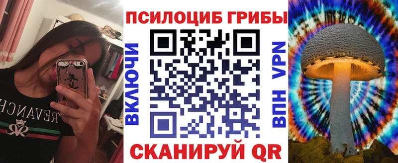 Псилоцибиновые грибы мицелий Боготол