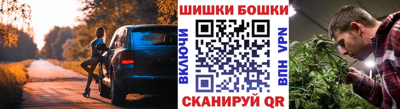 Купить  Боготол  Канабис сатива 